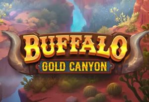 Buffalo Gold Canyon